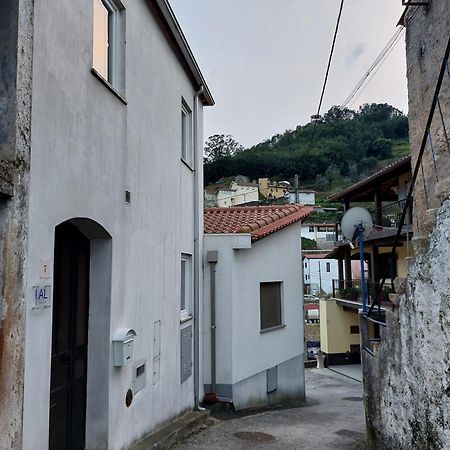 Casa Vale Do Rio Villa Penacova Ngoại thất bức ảnh